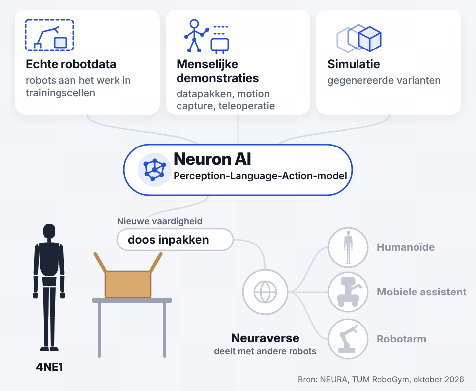 Animatie: echte robotdata, menselijke demonstraties en simulatie voeden Neuron AI, waarna een vaardigheid naar andere robots gaat